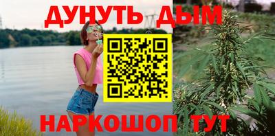крисы Лесосибирск