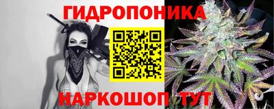 крисы Лесосибирск