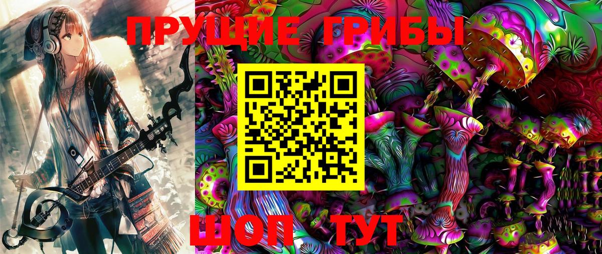 Киров  Псилоцибиновые грибы мицелий  Вход с VPN  Псилоцибиновые грибы Cubensis 